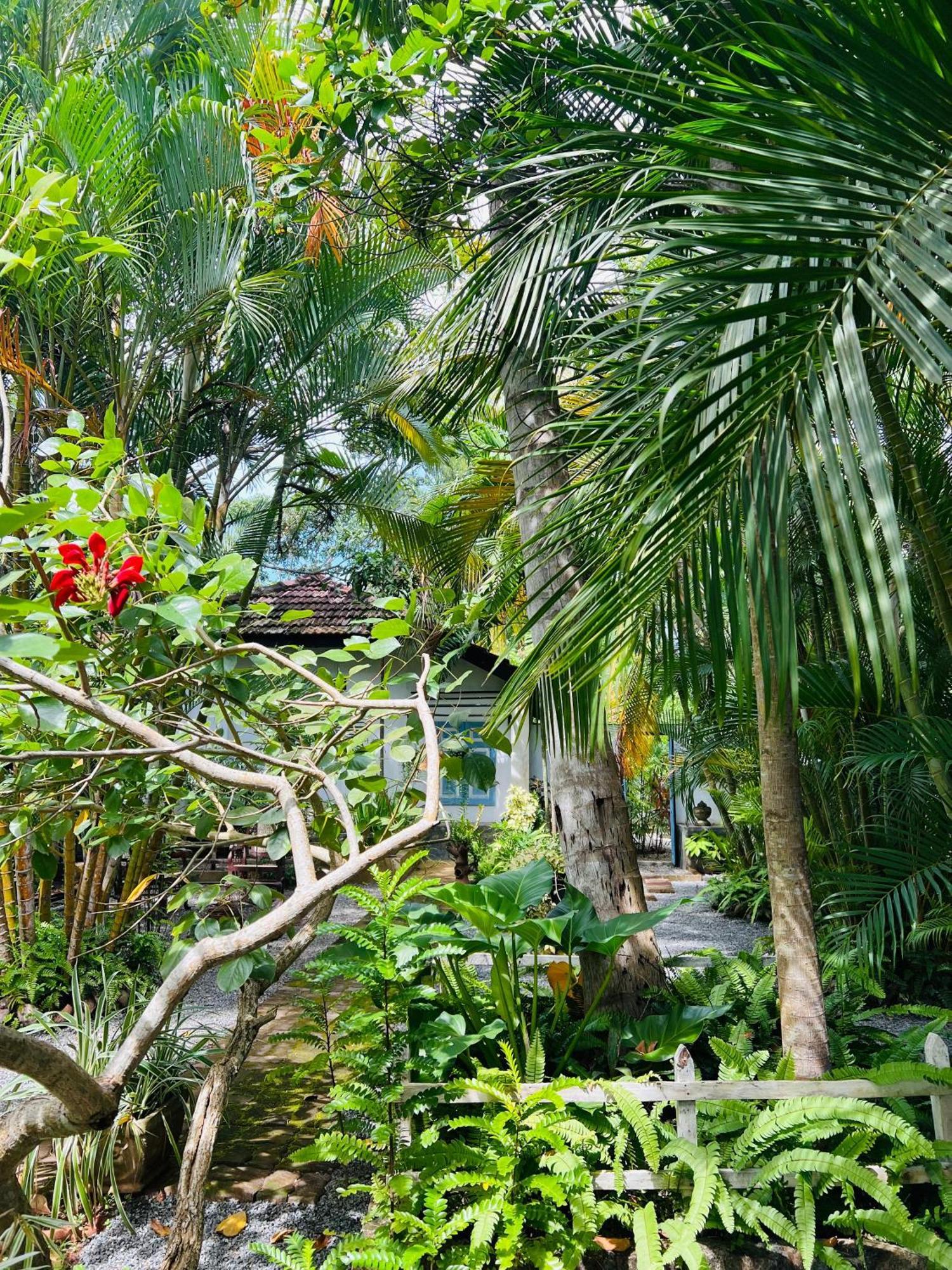 Krishan Villa Negombo Exteriér fotografie